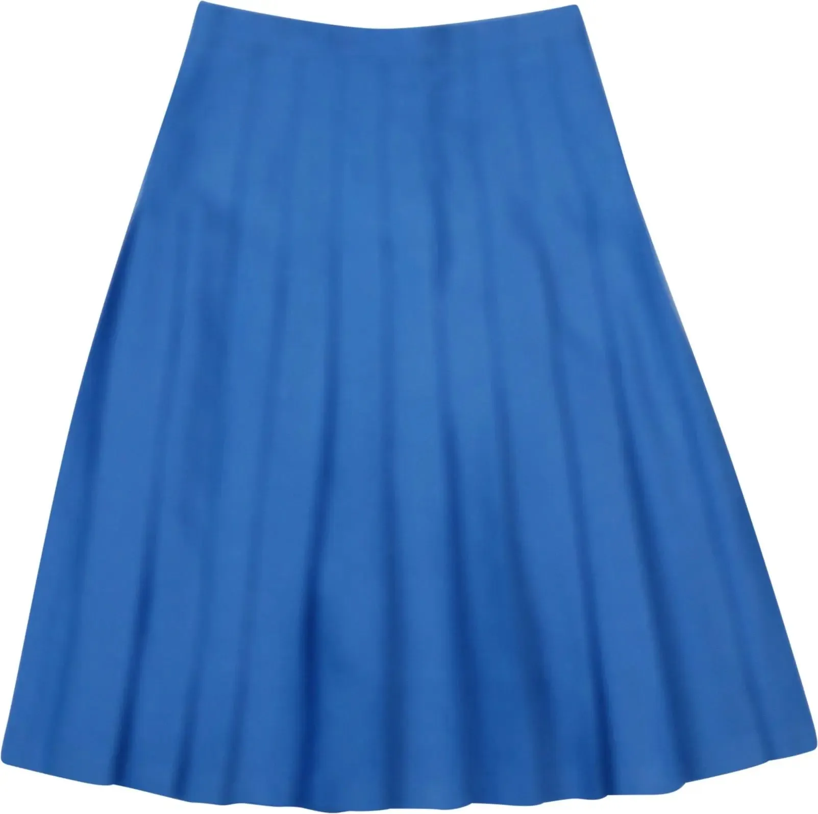 Blue Pleated Skirt | ThriftTale