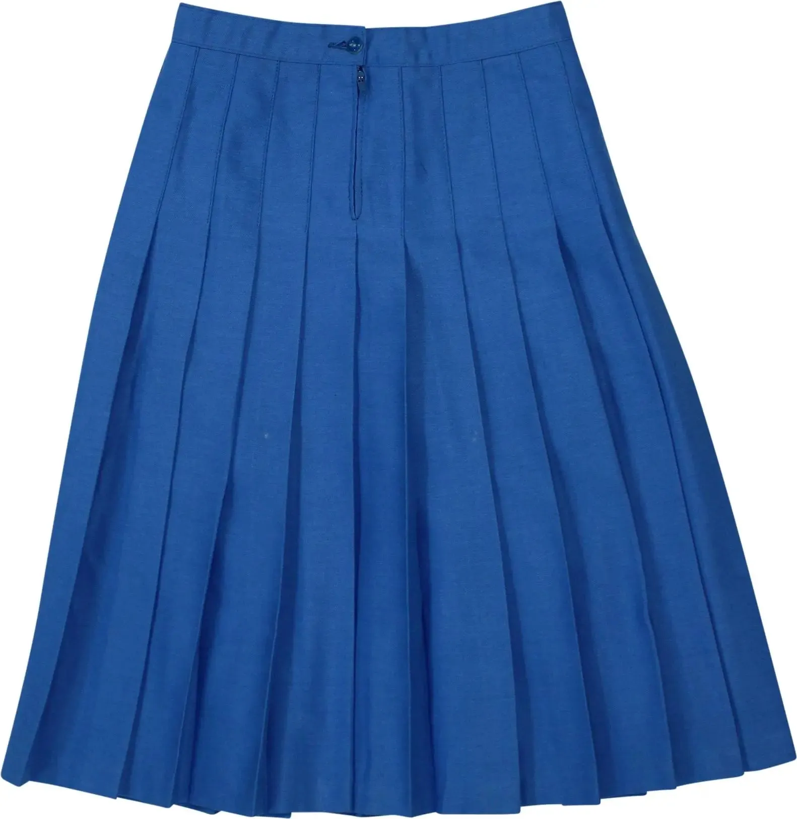 Blue Pleated Skirt | ThriftTale