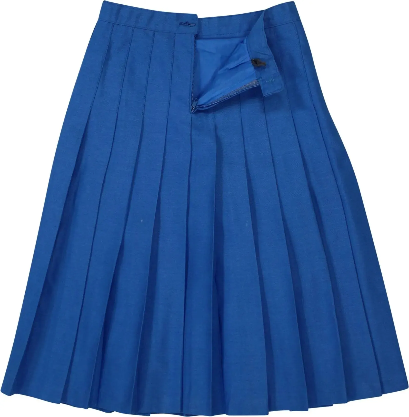 Blue Pleated Skirt | ThriftTale