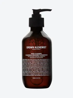 Body cleanser