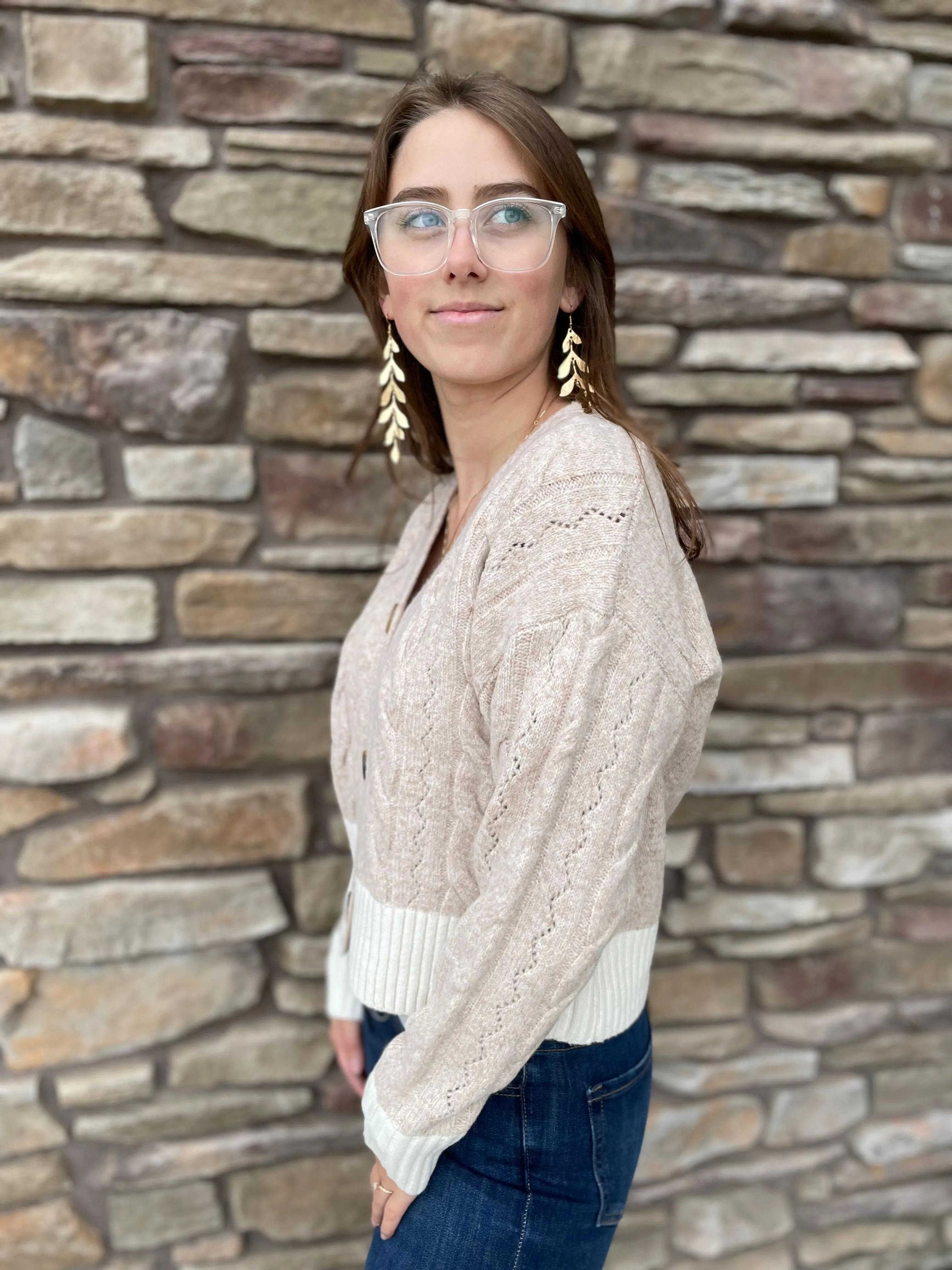 Button Down | V-Neck Cardigan | Taupe