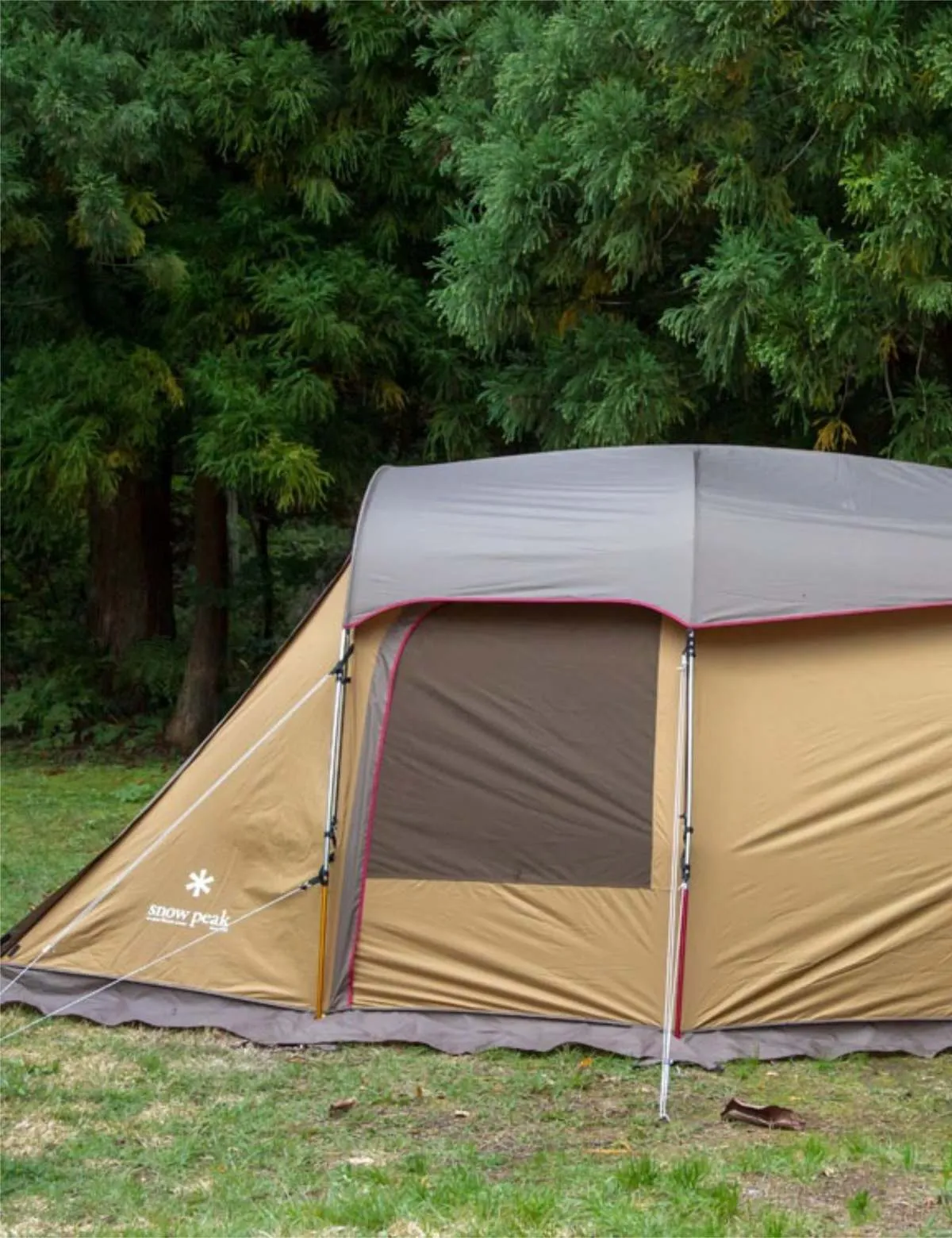 Entry 2 Room Elfield Tent - Brown