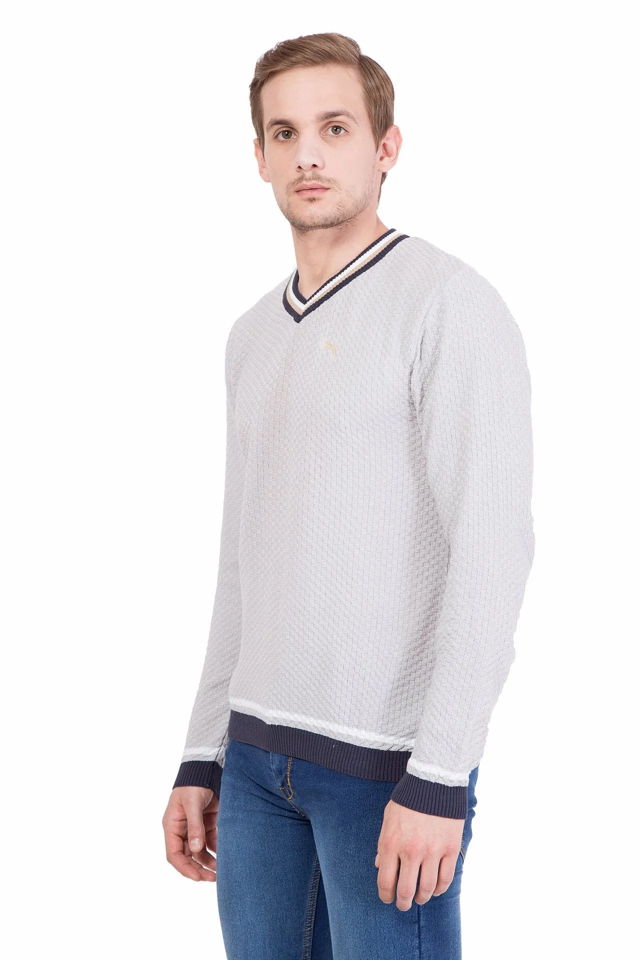 Men Full Sleeve Cotton Sweater