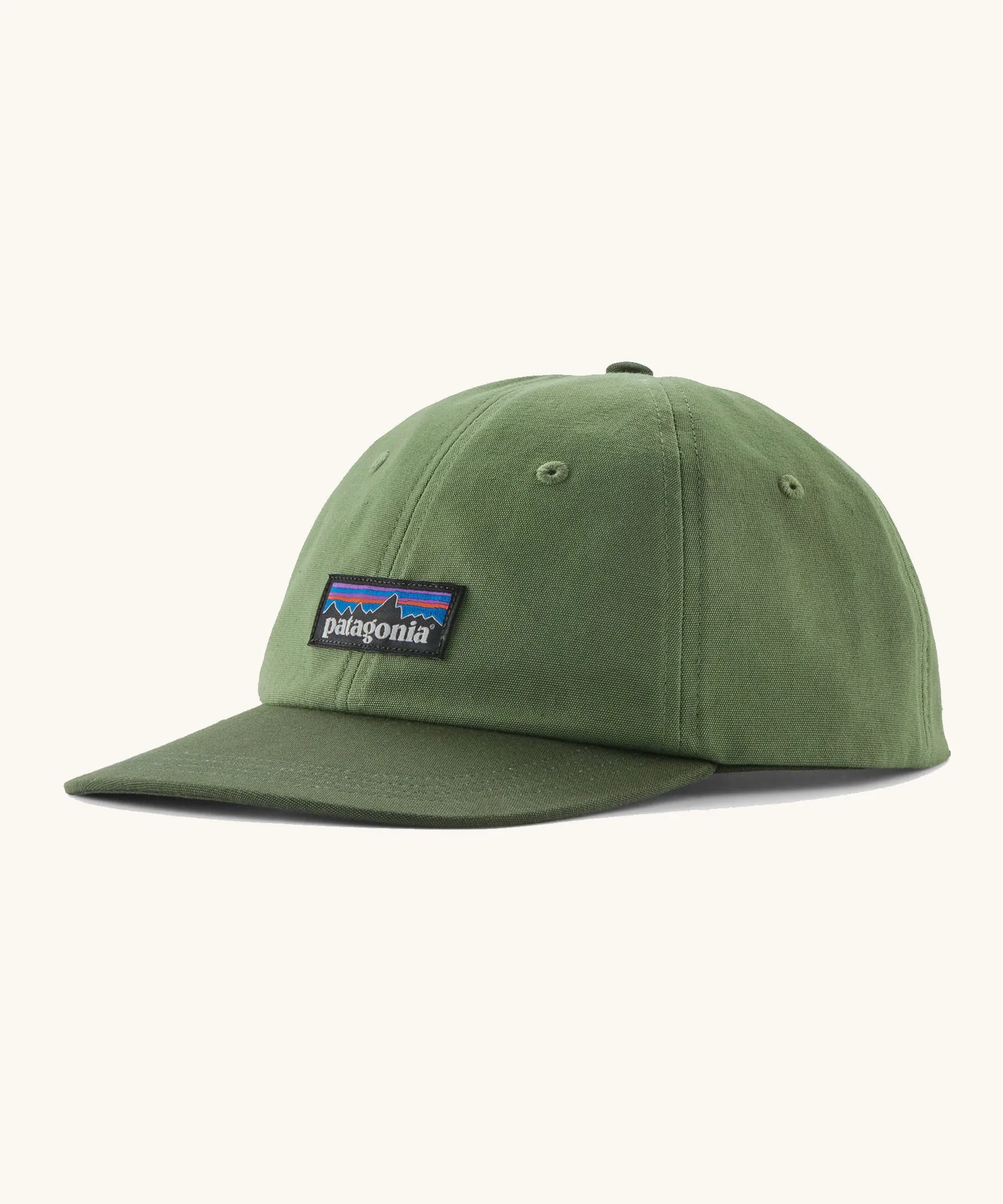 Patagonia Adult P-6 Label Trad Cap Terrain Green