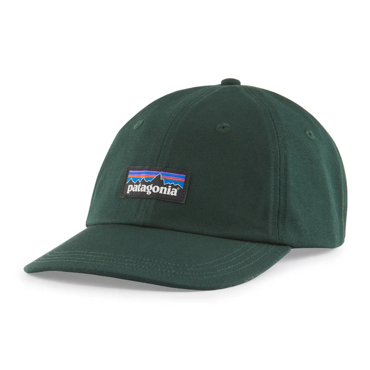 Patagonia P-6 Label Trad Cap - Northern Green